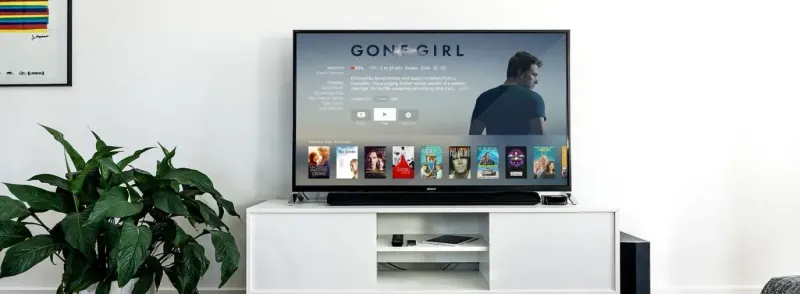Television