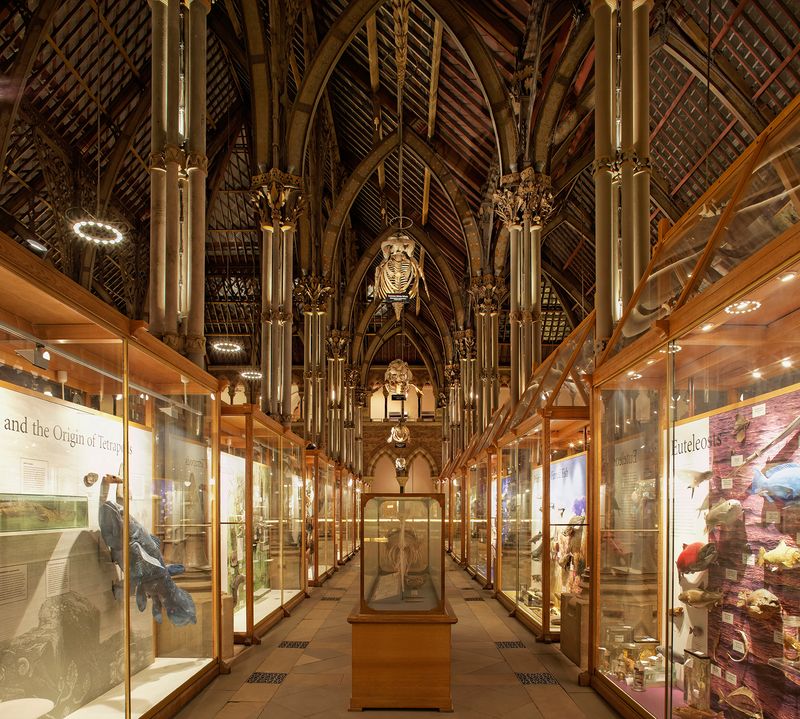 Natural History