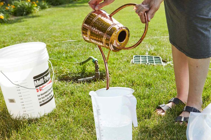 Leaky Watering Can