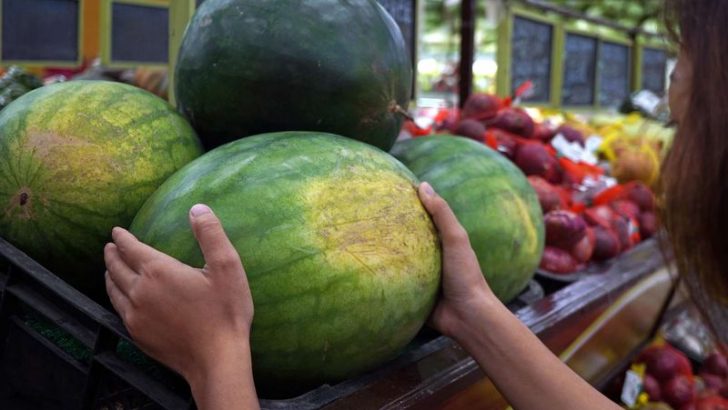 7 Secrets to Picking The Best Watermelon (Juicy and Delicious)