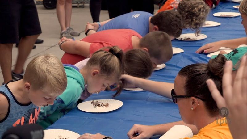 Pie Eating Contests
