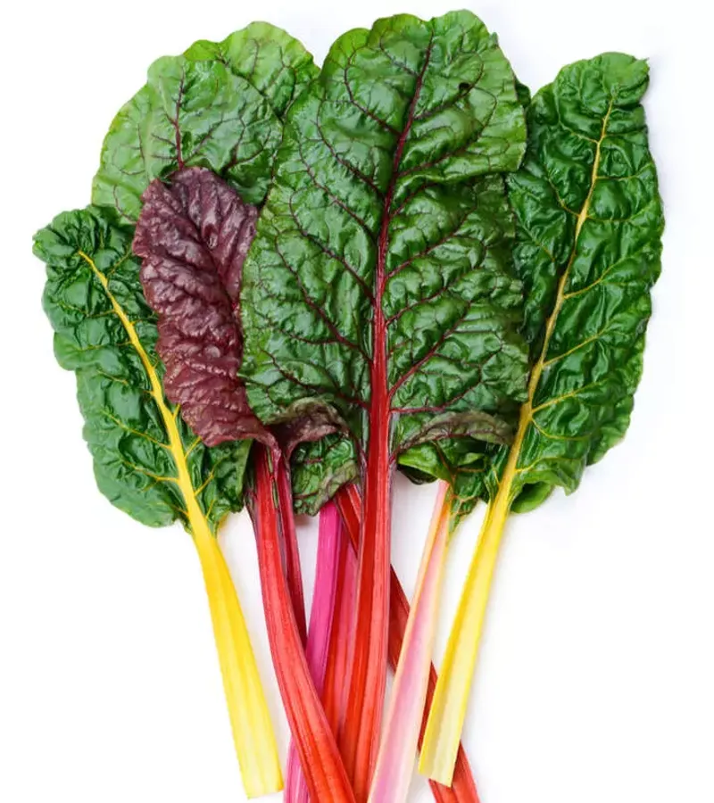 Food: Swiss Chard