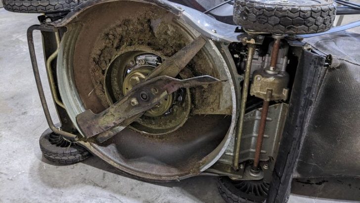 12 Garden Tools In Your Shed You Should Toss