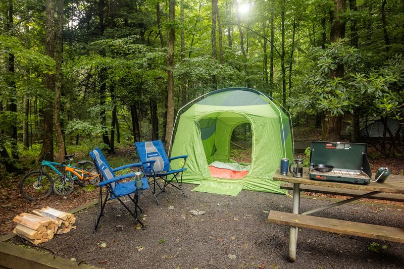 Camping Adventures