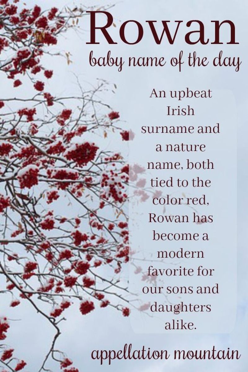 Rowan
