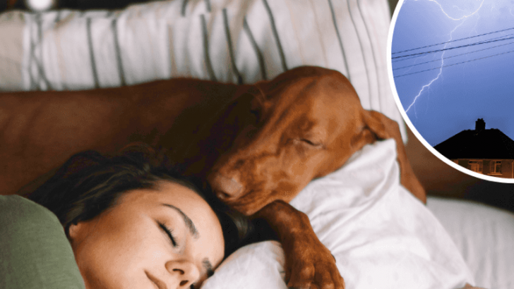 8 Common Dreams That Is Your Subconcious Trying to Warn You About Something