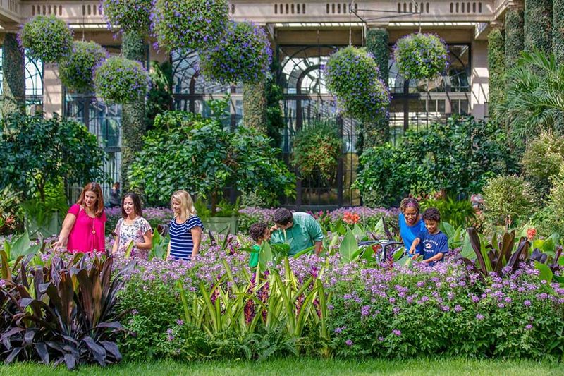 Growing Gardens