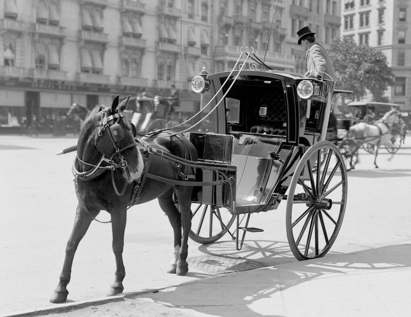 Horse-Drawn Carriages as Taxis