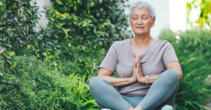 Health and Wellness Focus