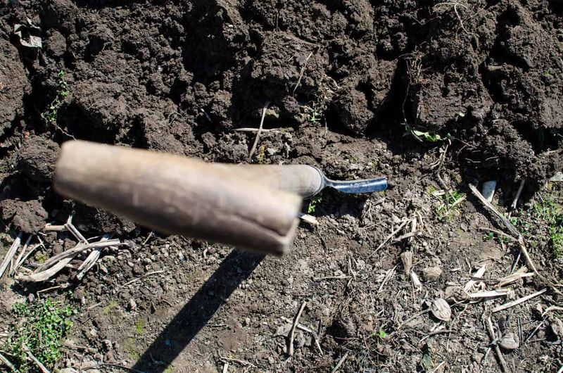 Broken Garden Fork