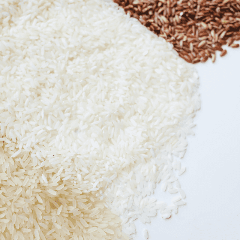 Rice