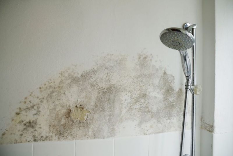 Neglecting Mold Prevention