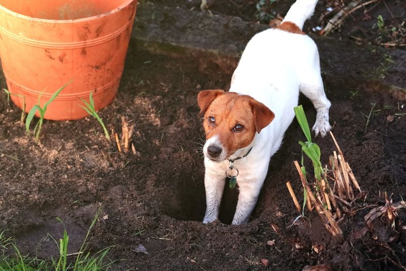 Digging in Unusual Places
