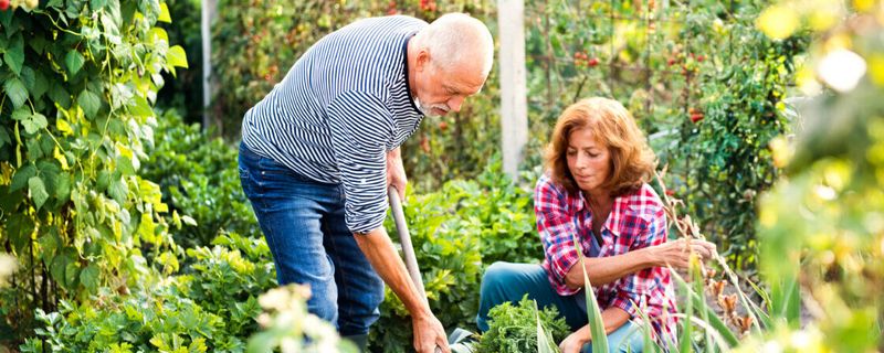 Gardening Guru