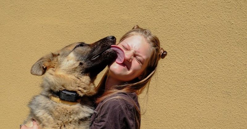 Licking Your Face Intensely