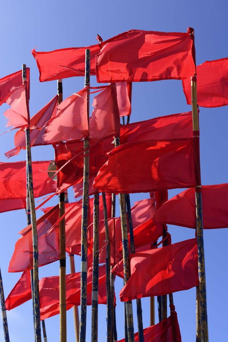 Ignore Red Flags