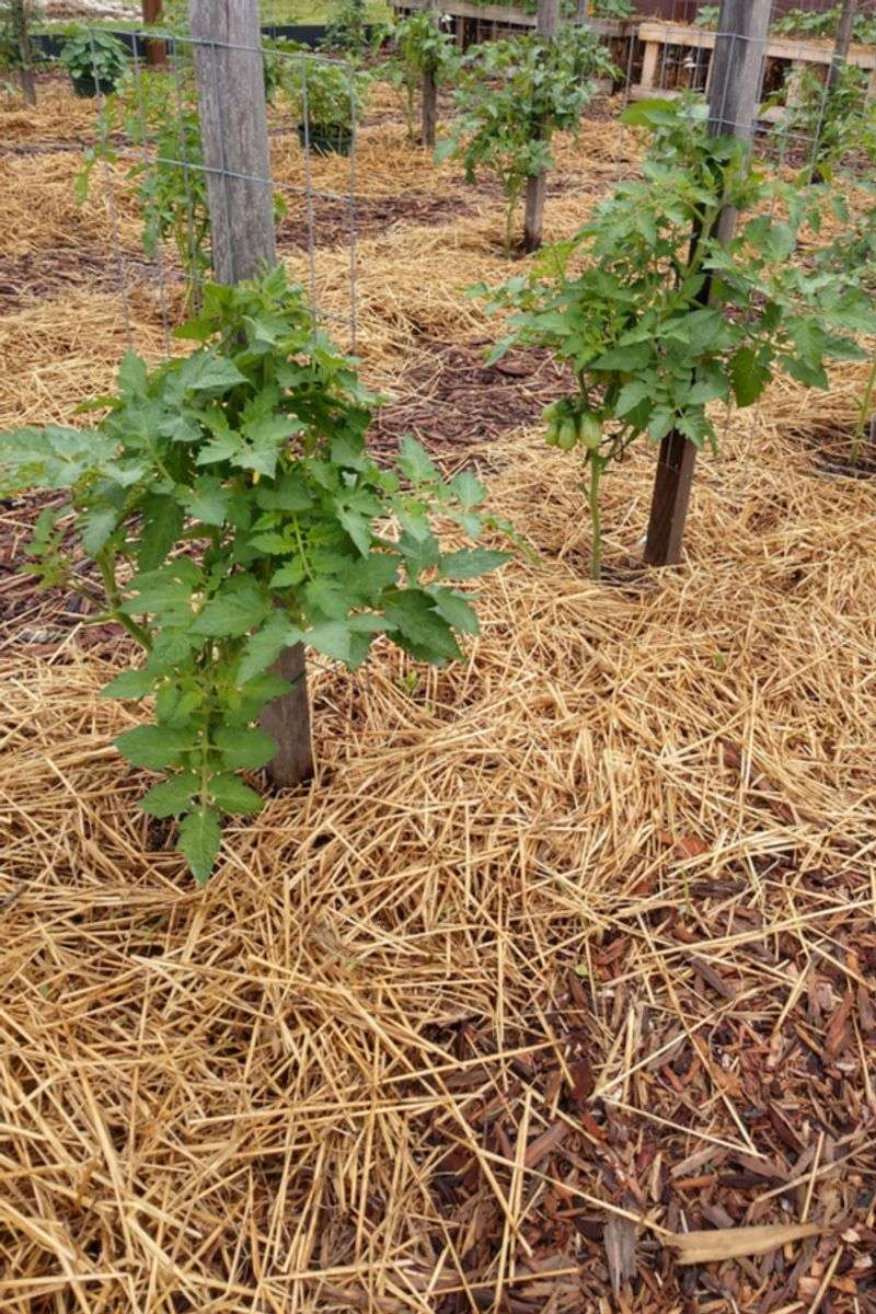 Using Mulch Effectively