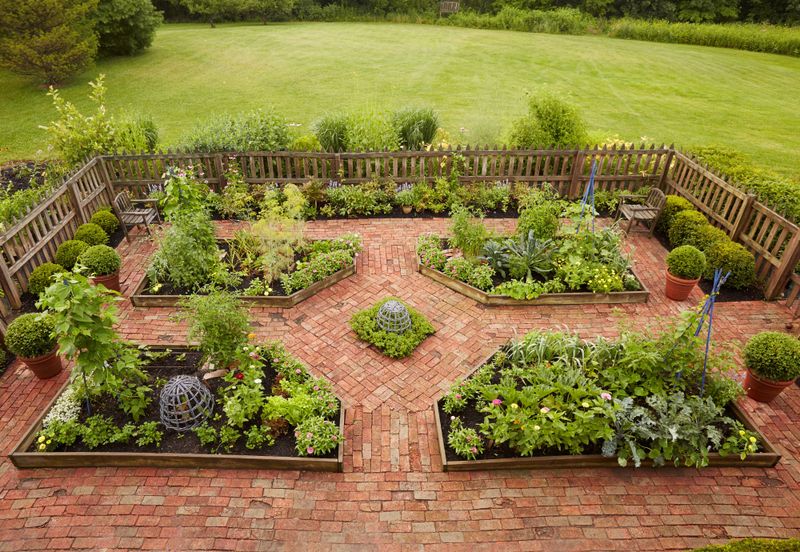 Kitchen Gardens Beyond Herbs