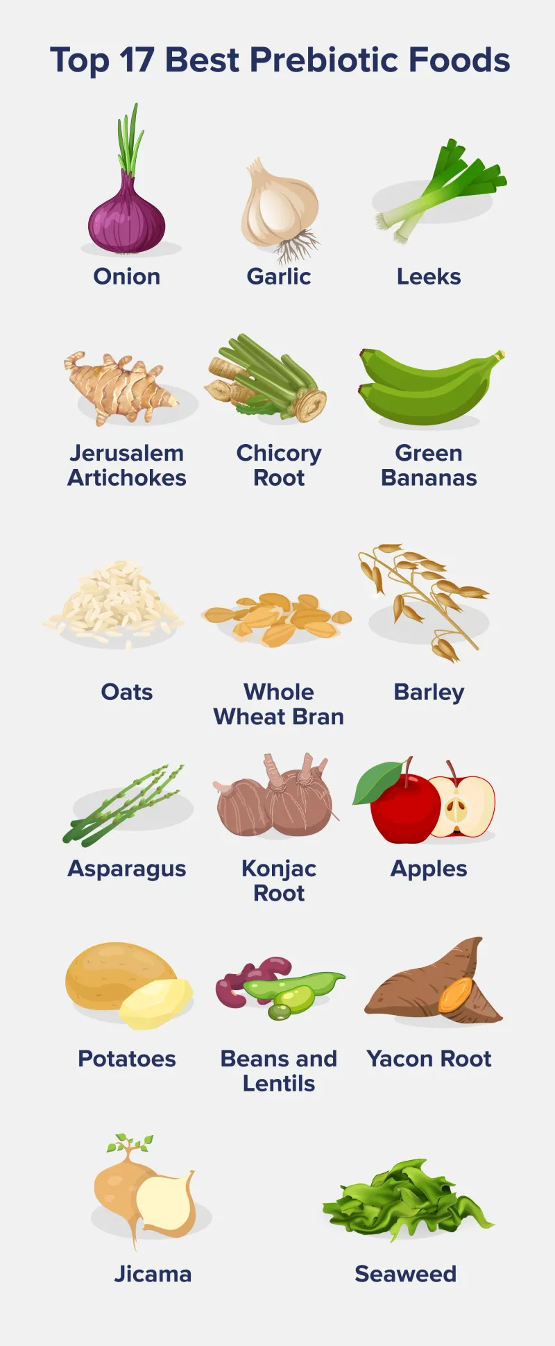 Include Prebiotic Foods
