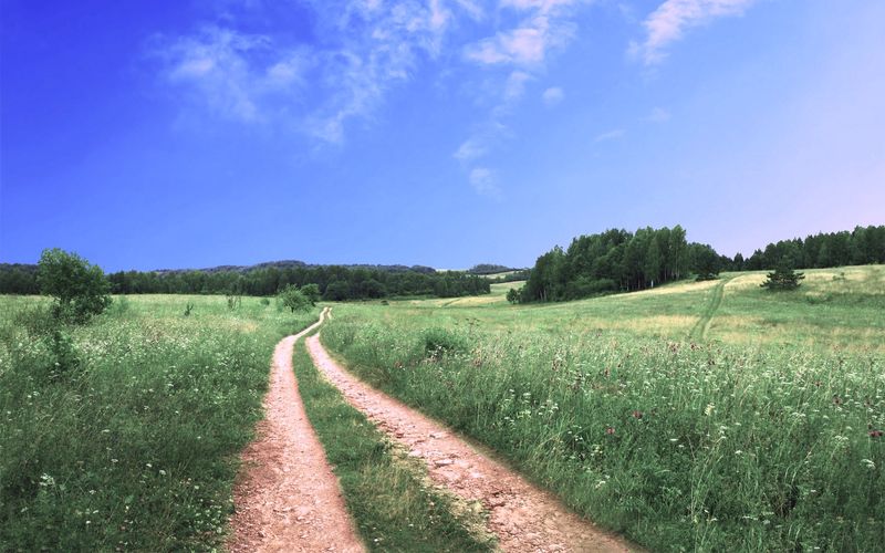 The Grass is Always Greener on the Other Side
