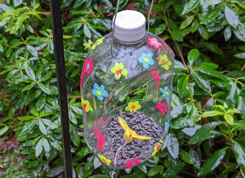 Bird Feeder