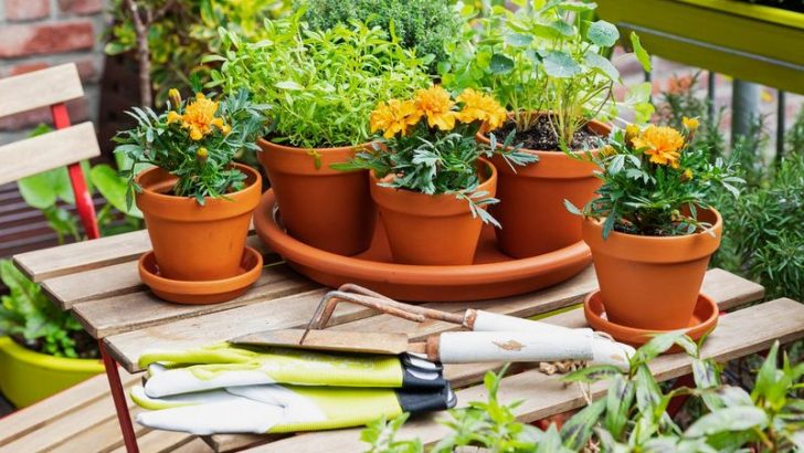 9 Items You Should Never Put Out On Your Porch