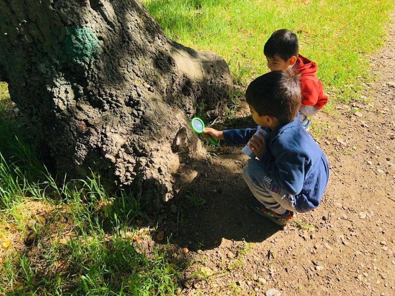 Nature Scavenger Hunt