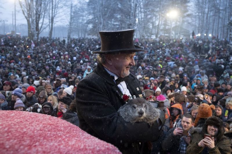 Groundhog Day Predictions