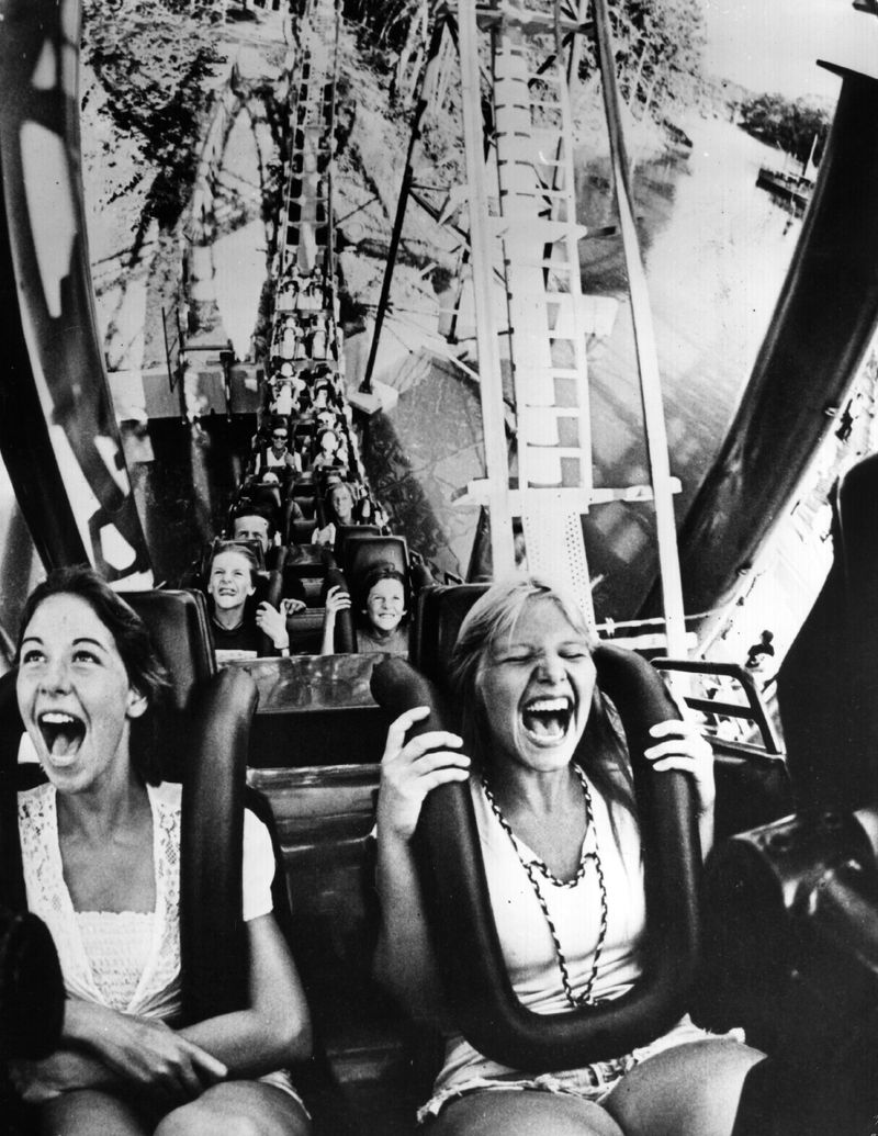 Visiting Amusement Parks