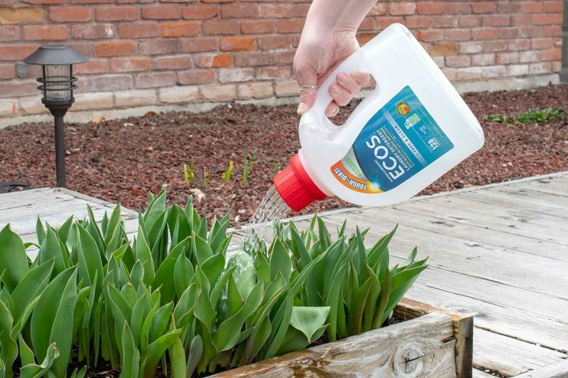 Watering Can