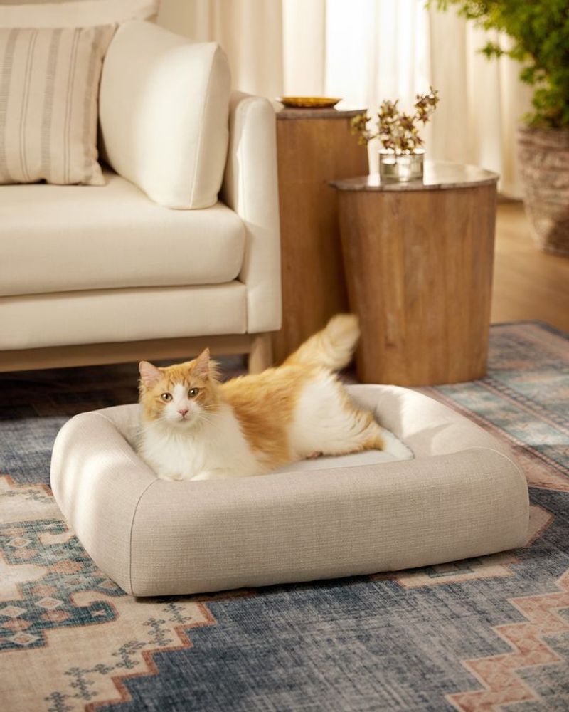 Pet-Friendly Spaces