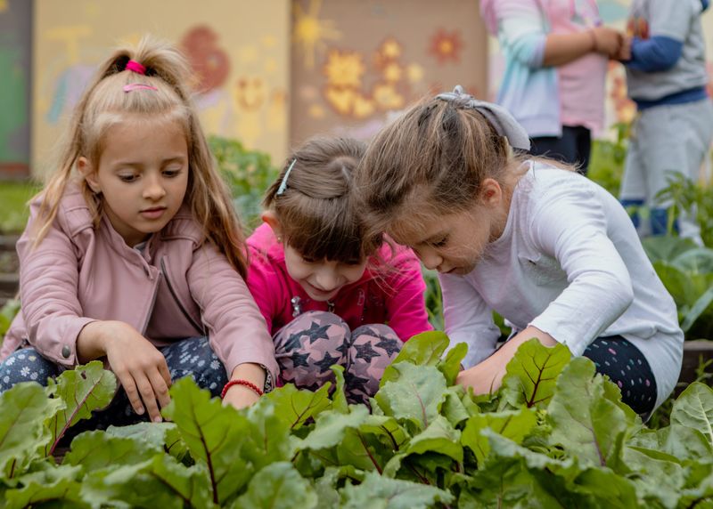 Weeding the Garden