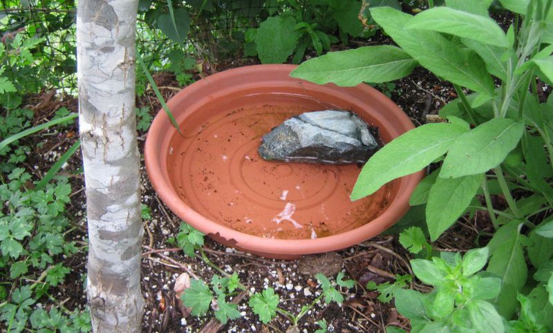 Natural Pest Control