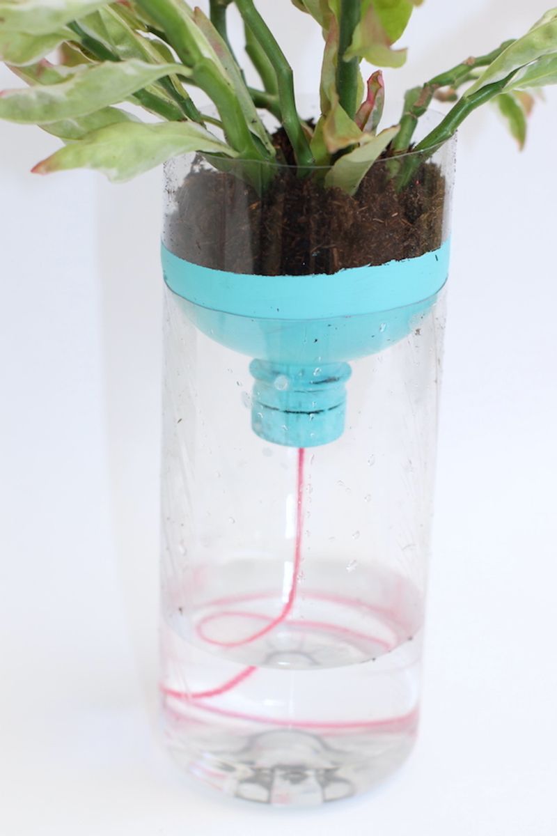 Self-Watering Planters