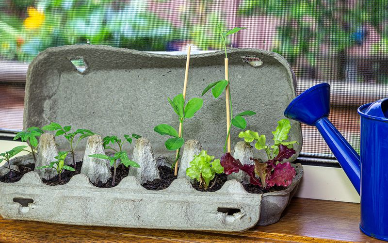 Reusing and Recycling