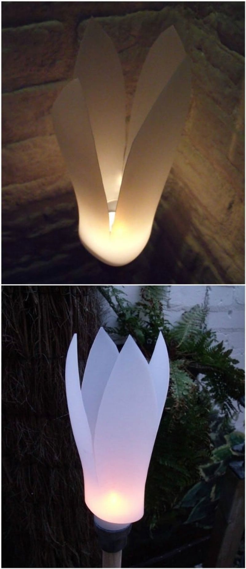 Lantern