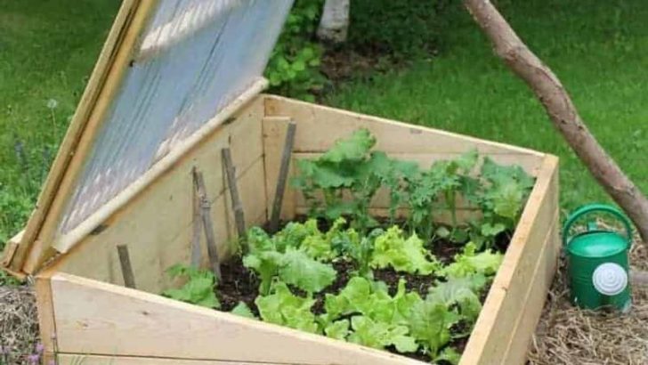 11 Forgotten Gardening Tips Our Grandparents Swore by