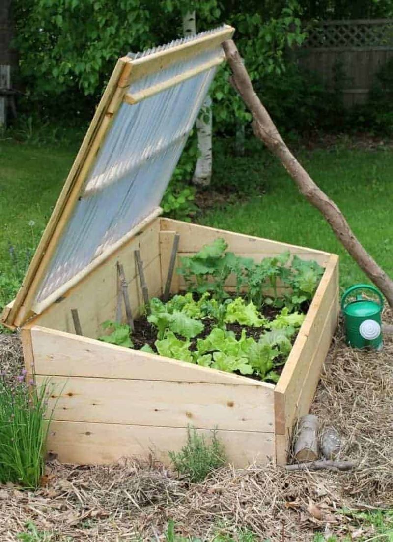 Cold Frames for Season Extension