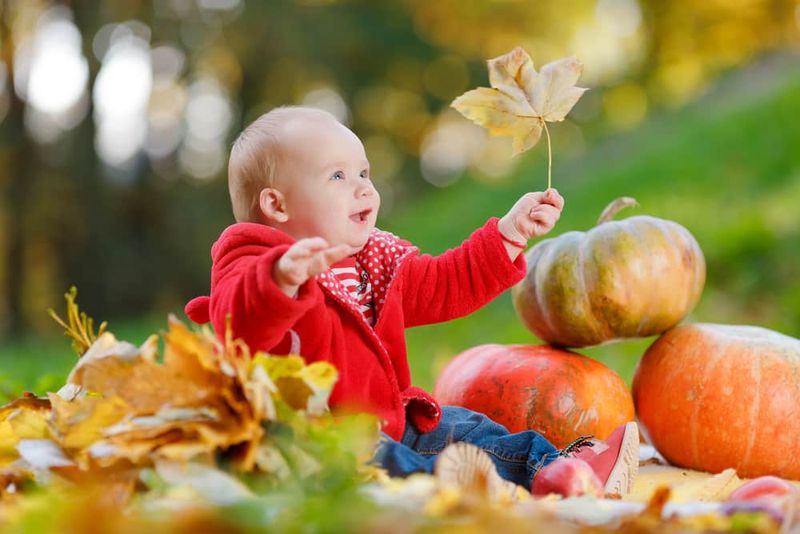 Autumn