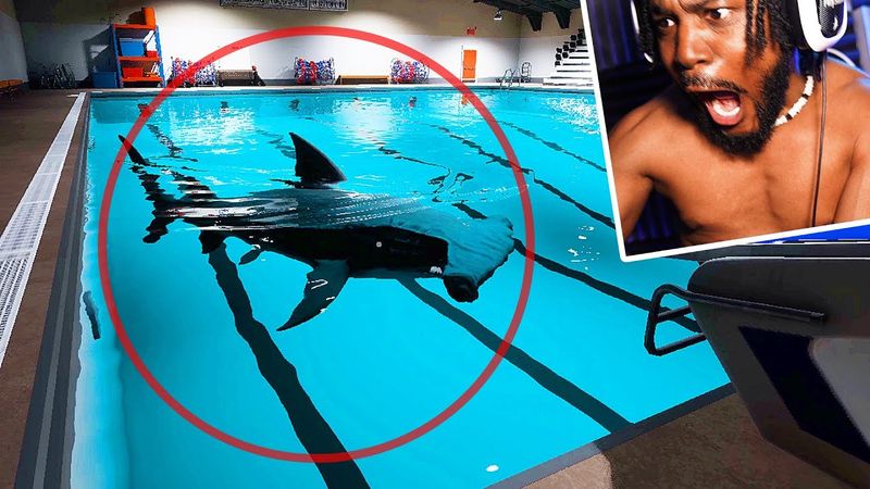 Sharks in Swimming Pools