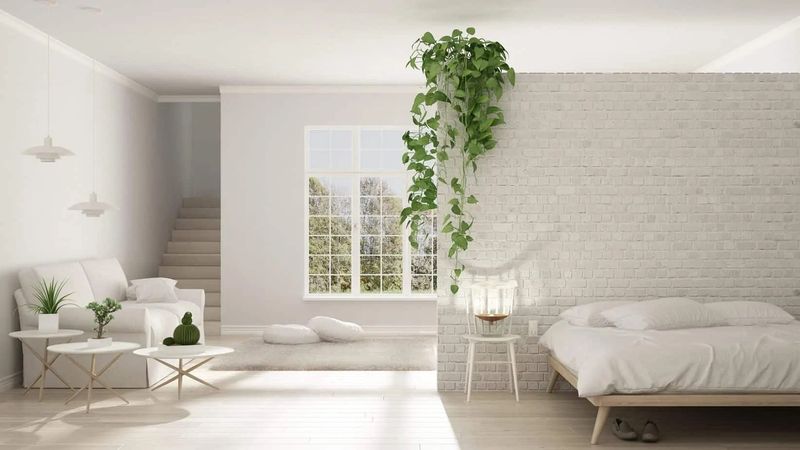 The Power of Decluttering