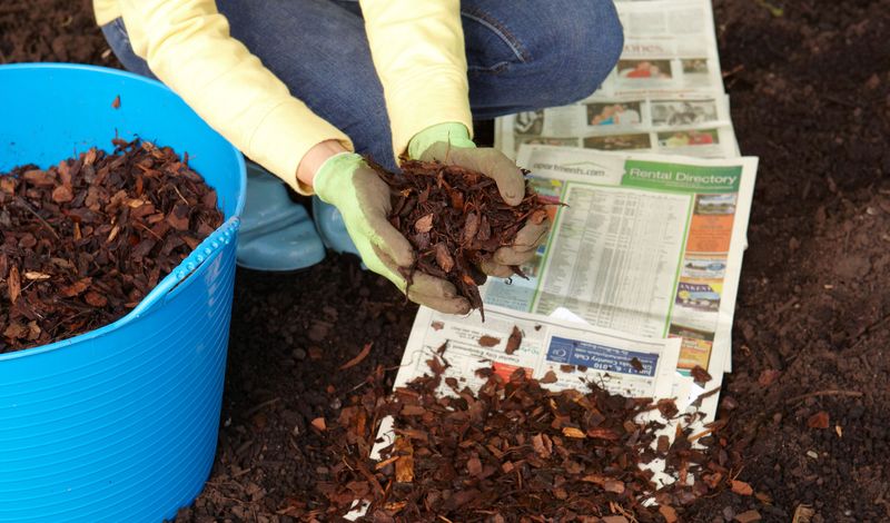 Newspaper Mulch