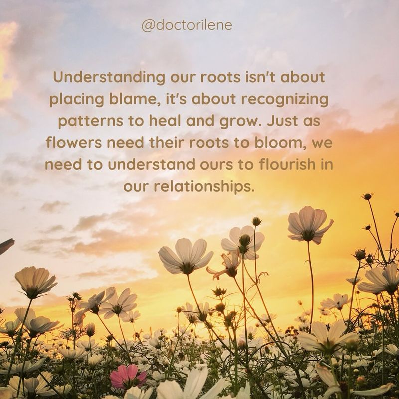 Seek Understanding, Not Blame