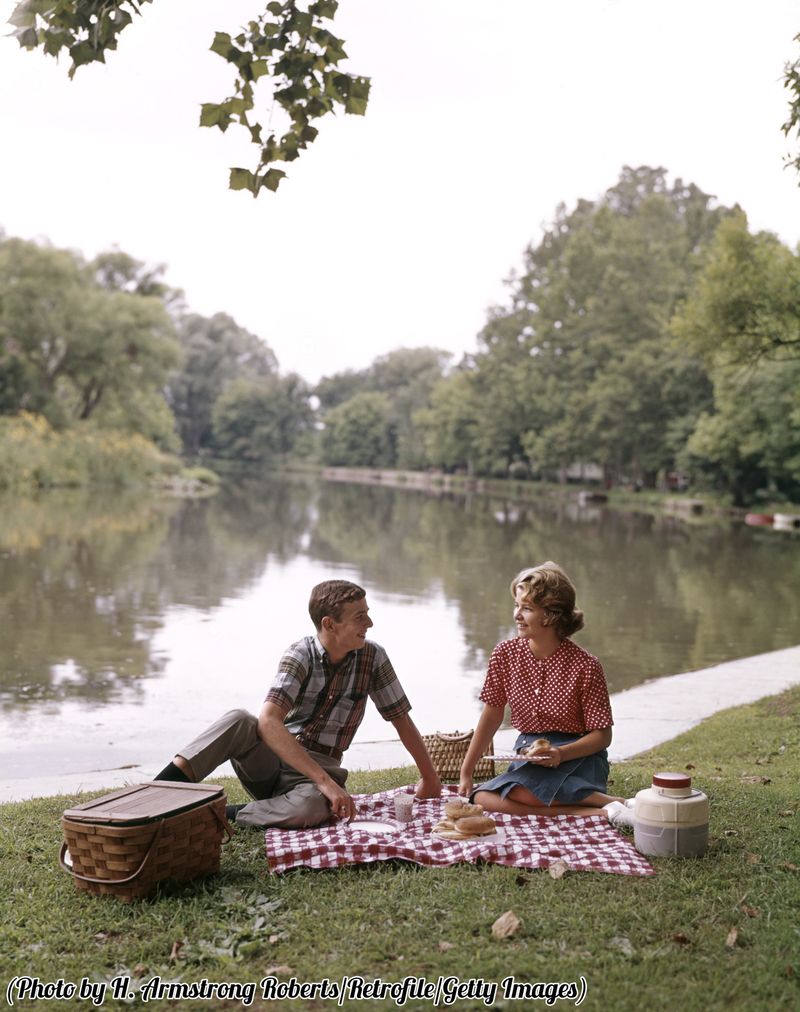 Chance Meeting at a Family Picnic