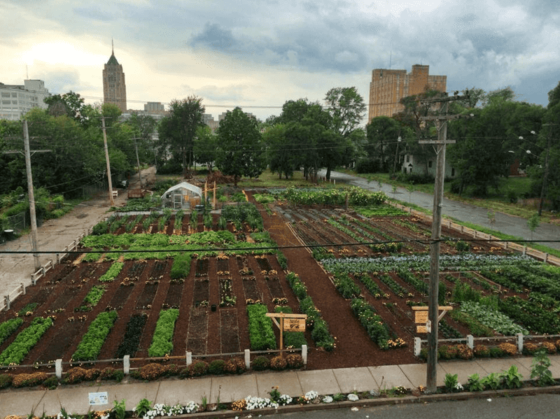 Community Gardening