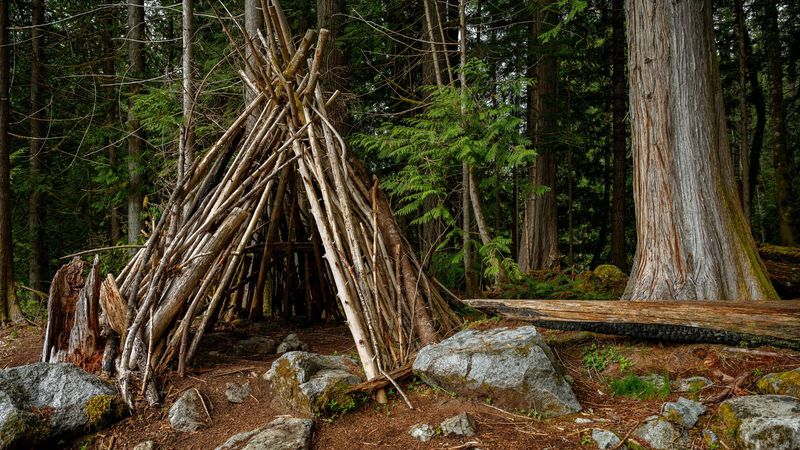 Building Natural Shelters