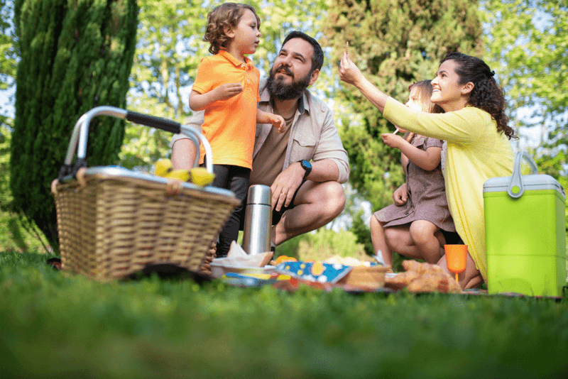 Plan a Surprise Picnic