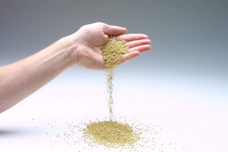 Corn Gluten Meal