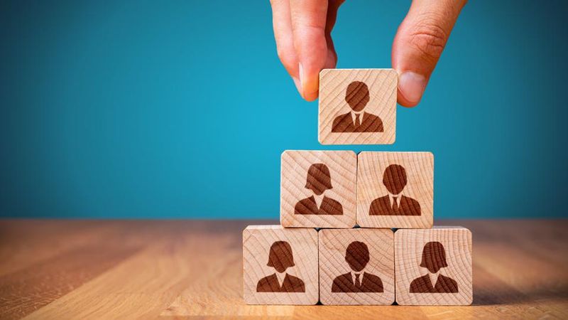 Multi-Level Marketing Schemes