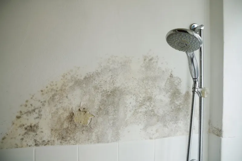 Improperly Sealing Bathroom Fixtures